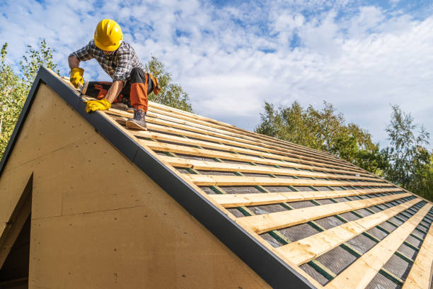 Professional Roofing Contractor in Arlington, MN